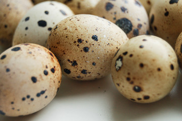 Obraz premium quail eggs on white