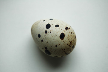 quail eggs on white