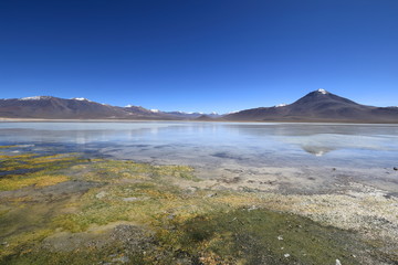 The White Lagoon in the Bolivia