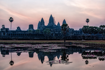 ankor wat