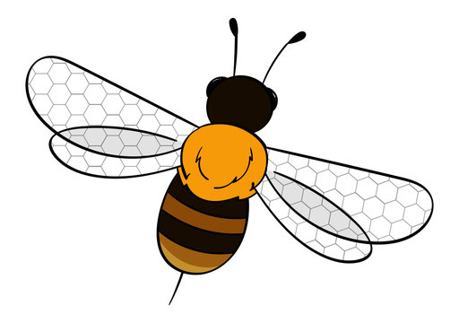 Honeybee with hex comb wings