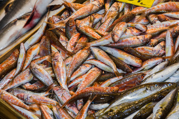 Istanbul, Turkey, 20.12.2019: Fresh seafood on the counter top of the fish market, for sale