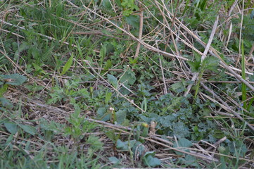 On a beautiful summer day.