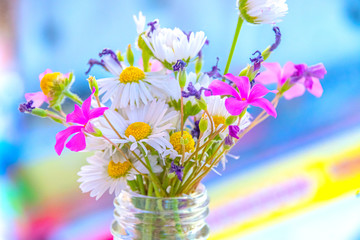Fototapeta na wymiar colorful wildflowers background bottle vivid bright light daisy violets
