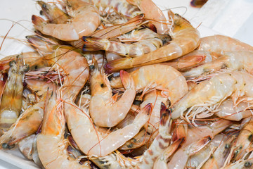 Istanbul, Turkey, 20.12.2019: Fresh seafood on the counter top of the fish market, for sale