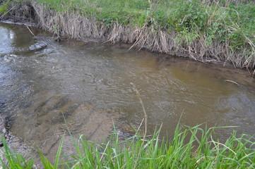 In summer, the river Bank. Warm water.