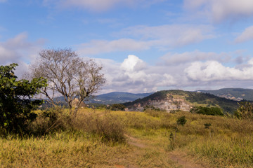 Planta, flores e paisagens da Serra da Cantareira Mairiporã - Trilha da Pedra Rachada de bicicleta