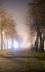 Obraz premium Street of a night city in wet cold rainy weather 