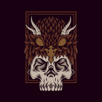 Owl skull illustration