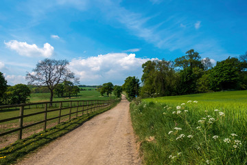Fototapeta na wymiar country road in the countryside in Spring
