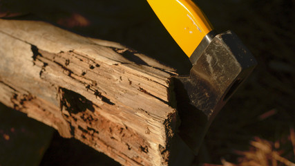 Man inside tent at camp