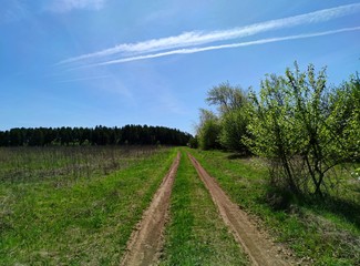 road in a green field goes to the forest against a beautiful blue sky with traces of flying planes on a sunny day