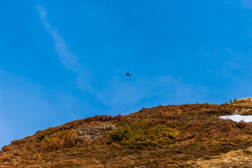 A wide angle shot of a predator eagle gliding over the French Pyrenees mountain range in winter high in the clear blue sky
