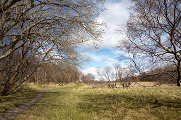 The hiking trail around Brønnøysund Airport in Nordland county