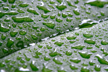 Raindrops on a green leaf close-up