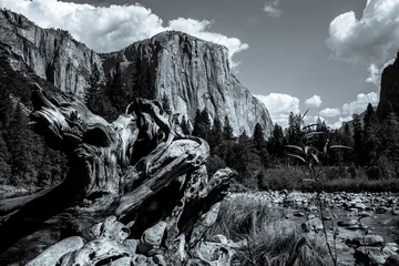 Fototapete El Capitan, Yosemite national park © photogolfer