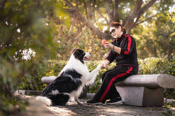 Middle-aged women sitting outside on the stone bench is playing rubber ball with her Border Collie dog
