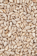 Sunflower seeds Infinite properties of small seeds