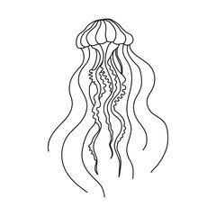 Vector sea jellyfish isolated on white background. Outline jellyfish for coloring books, web, cards.