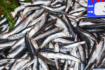 Fototapeta premium Istanbul, Turkey, 20.12.2019: Fresh seafood on the counter top of the fish market, for sale