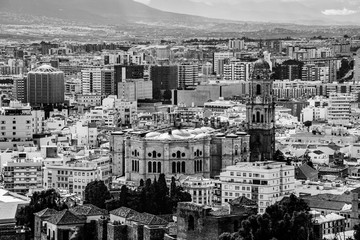City skyline with the Cathedral of Malaga, Andalusia, Spain in black and white