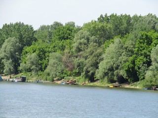 View of the beautiful bank of the river Tisa in Banat, province of Vojvodina, Serbia