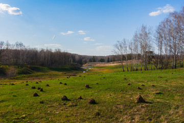 beautiful landscape with green grass and wormholes