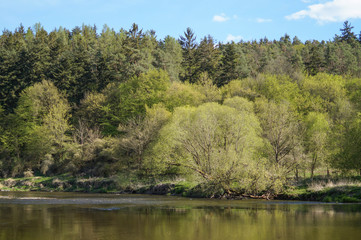 Fototapeta na wymiar spring nature and river