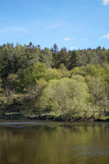 Fototapeta na wymiar spring nature and river