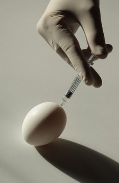 Assisted reproduction
