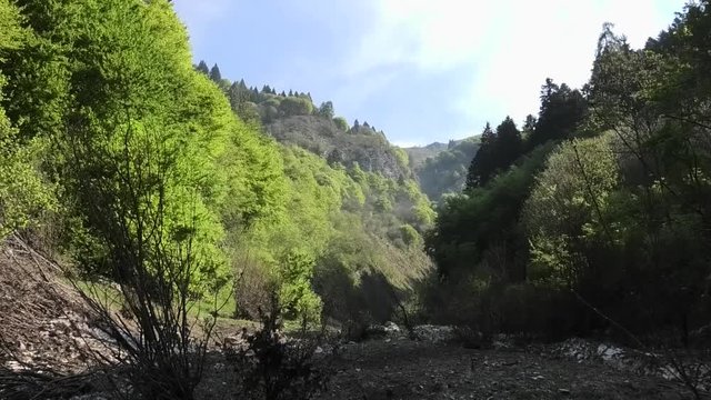 suoni colori della primavera prealpina
