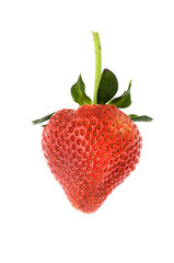 red strawberry on white background