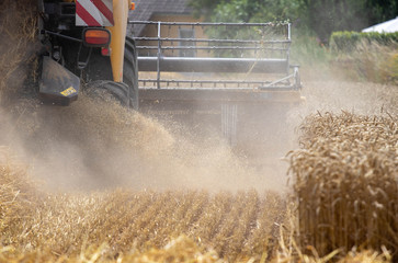 Weizenernte Mähdrescher Ackerbau Landwirtschaft