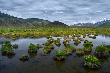 Marshy plain. A marshy plain surrounded by mountains.