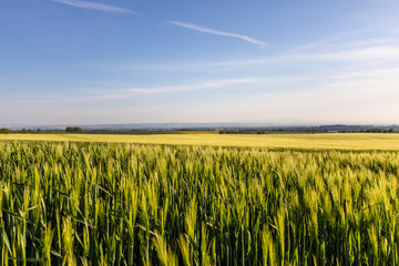 Blick übers Land und Äcker weit bis zum Horizont