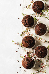 Chocolate cacao muffins flat lay with flowers branches