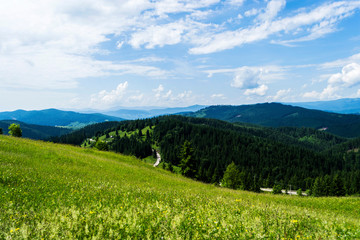 Fototapeta na wymiar Landscape of Ciumarna step or Palm, Palma pass, Bucovina, Romania.