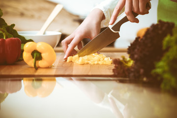 Unknown human hands cooking in kitchen. Woman slicing yellow bell pepper. Healthy meal, and vegetarian food concept
