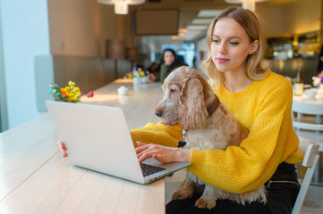 Blonde woman in yellow sweatshirt working on laptop in co working space and holding her old cocker...