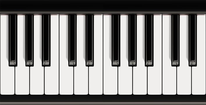 Piano keyboard close up view vector illustration