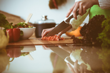 Unknown human hands cooking in kitchen. Woman slicing red tomatoes. Healthy meal, and vegetarian food concept