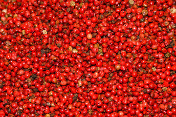 Mixed peppercorns background. Different colored peppercorns, close up.