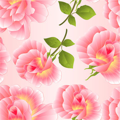 Seamless texture  pink rose rosebud with orange center watercolor  on a pink background vector illustration editable hand draw