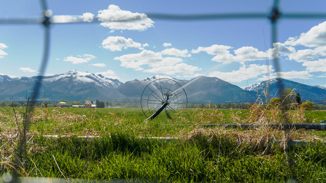 Rolling sprinkler