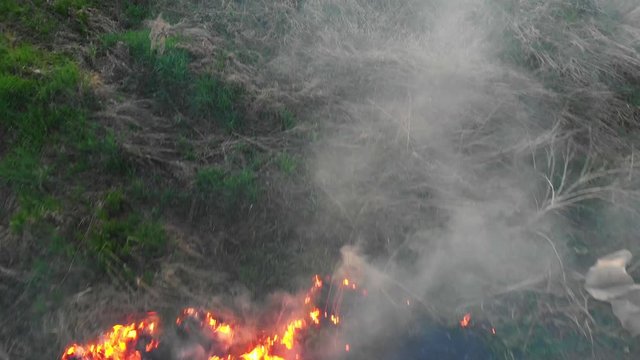 Dry grass burning in spring 2020. Arson of dry grass as a reason of fire. Natural disaster, global warming and climate change.