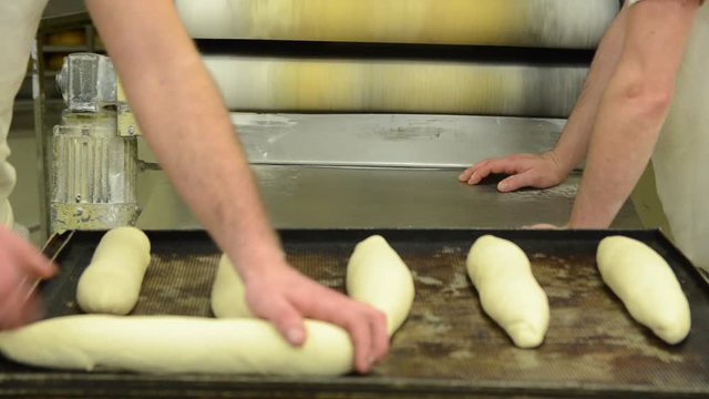 Baker hands kneading bread dough in bakery. Making bread. Men manually kneading fresh dough. Workers preparing pastry dough in bakery shop. Prepared raw bread dough shaped into loaves. Food industry. 