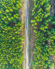 Vertical aerial view of the road in the forest