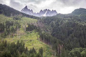 Fototapeta premium Green forest, hight mountain peaks in Chamonix, France. Scenic image of hiking concept. Perfect moment in alpine highlands.