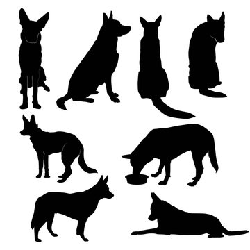 set of silhouettes of big dog in basic poses (sit, lie, profile, stand, front, back, eat), vector isolated on white background