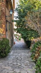 Fototapeta na wymiar Old town alley in Deia, Majorca (Mallorca), Spain.
